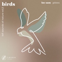 pétreo - Single - lov sum