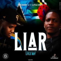 Liar (feat. Litleboy Lsbeats767) - Single - Shemmy J