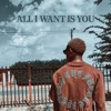 All I Want Is You (feat. Lowkey) - Single