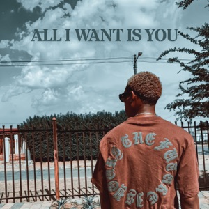 All I Want Is You (feat. Lowkey)