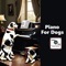 The Dog Days Nocturne - Tunes Dog, Play a Song Save a Dog & TheSound lyrics