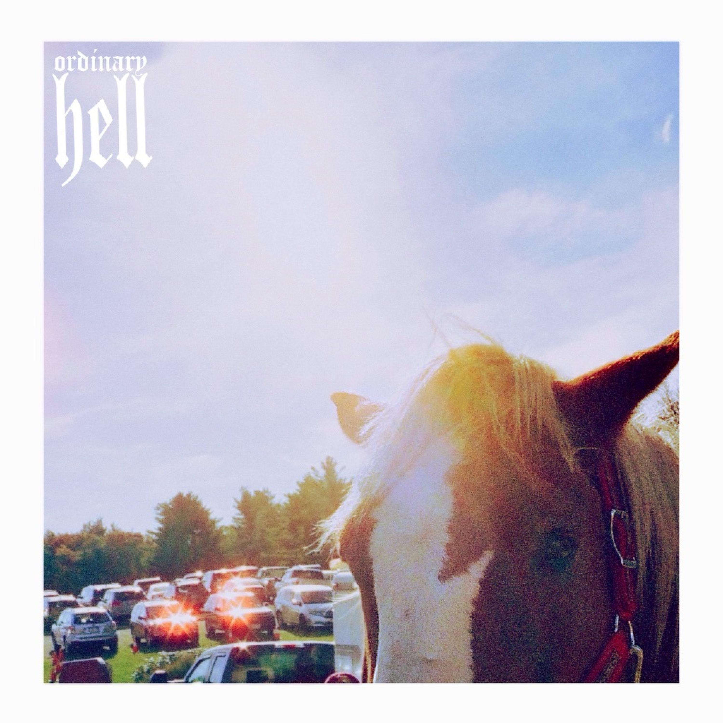 Ordinary Hell - Single