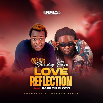 Love reflection (feat. Papilon blood) - Single