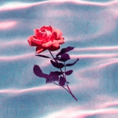 Shades On (feat. Silas, Mac-K & Troy Demboyz) - Single