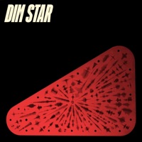 Slipstream (feat. billy woods & Anaïs Mitchell) - Single - dim star