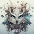 Insomnia