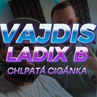 Chlpatá Cigánka (feat. Ladix B) - Single - Vajdis