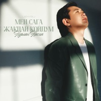 Мен сага жакпай койдум - Single - Нурлан Насип