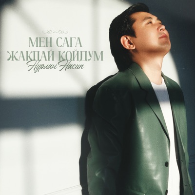 Мен сага жакпай койдум - Single