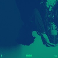 Wasted (feat. JaceJay) [TripMix] - Single - Nveem Jackman