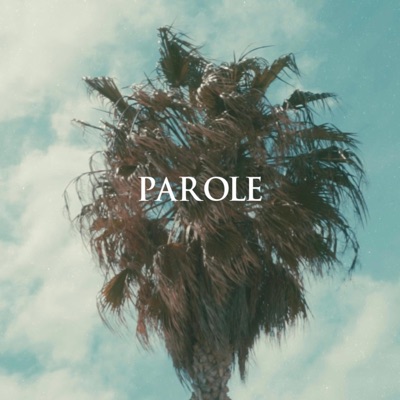 Parole (feat. Kevinbrr) - Single