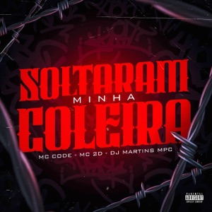 Soltaram minha coleira