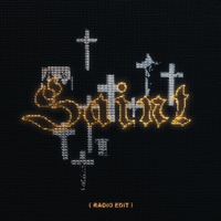 SAINT (Radio Edit) - Single - RIPVCTR