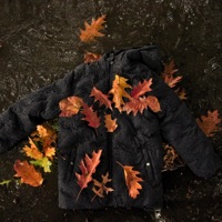 Braunrote Blätter - Single - Wima, prod.Mo, Wische & Mo