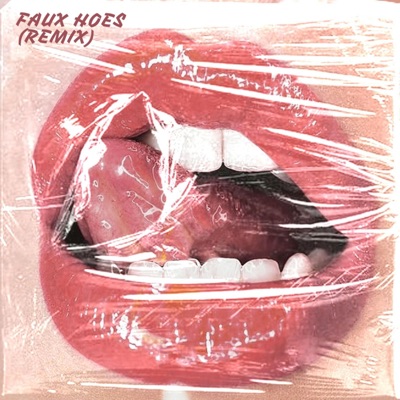 FAUX HOES! (feat. Krystlz & Jeredemption) [Remix] - Single