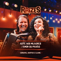 Xote dos Milagres / Amor ou Paixão (Ao Vivo) - Single - Dorgival Dantas & Eliane