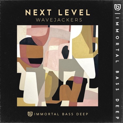 Next Level - Single