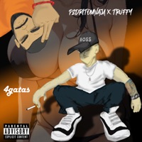 4 Gatas (feat. TRUFFY) - Single - Pedritonavaja