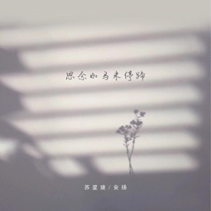 思念如马未停蹄 - Single