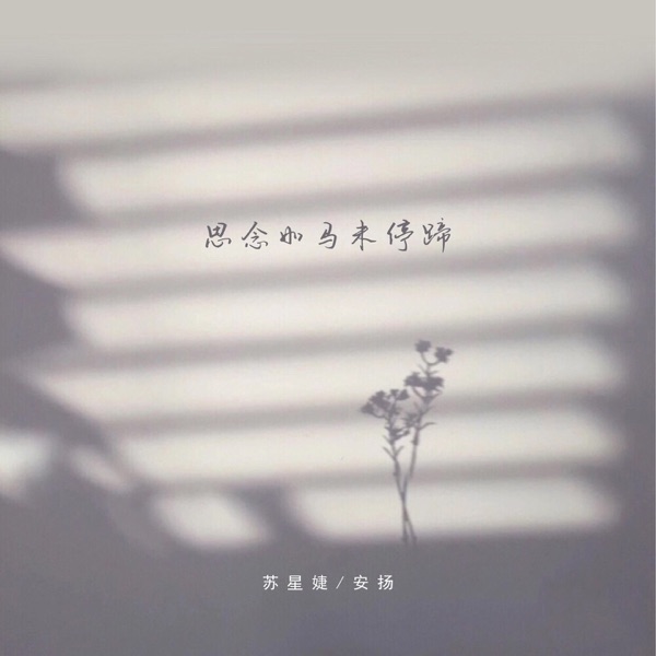 思念如马未停蹄 - Single