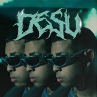 DESU - Single - Joe Lee