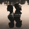 Beautiful Surrender - Jonathan David Helser & Melissa Helser