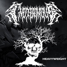 Heavyweight Indigenous