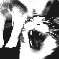 Ctrl - Single - Hxvsfly