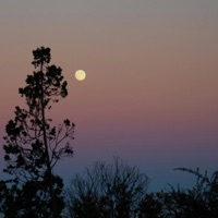 Take It Easy - Single - herman.