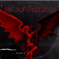 PERFECTION - Single - BigWig
