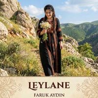 Leylane - Single - Faruk Aydın