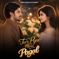 Tere Pyar Mein Pagal - Single - Gaur Saab & Somvir Mehra