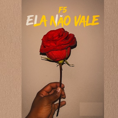 Ela Não Vale - Single