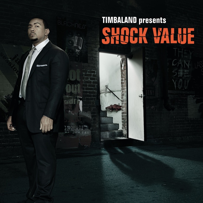 Meaning of  by Timbaland