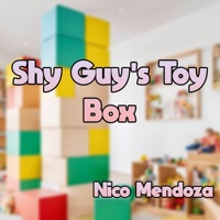 Shy Guy's Toybox (From: Paper Mario