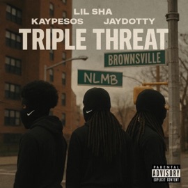 Triple Threat (feat. Lil Sha & JayDotty) Kay pesos