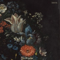 tomorrow. - Single - Half Blue