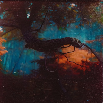 Infected Forest - Single