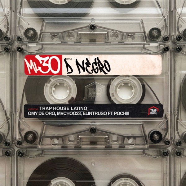 D NEGRO (ML 30) [feat. Pochiii] - Single