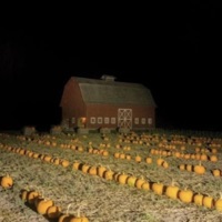 BitezzZ (feat. Kacie Free) - Single - Jv