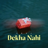 Dekha Nahi - Single - PNKJ