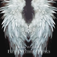 Flying Without Wings - Single - Frankie Zulferino