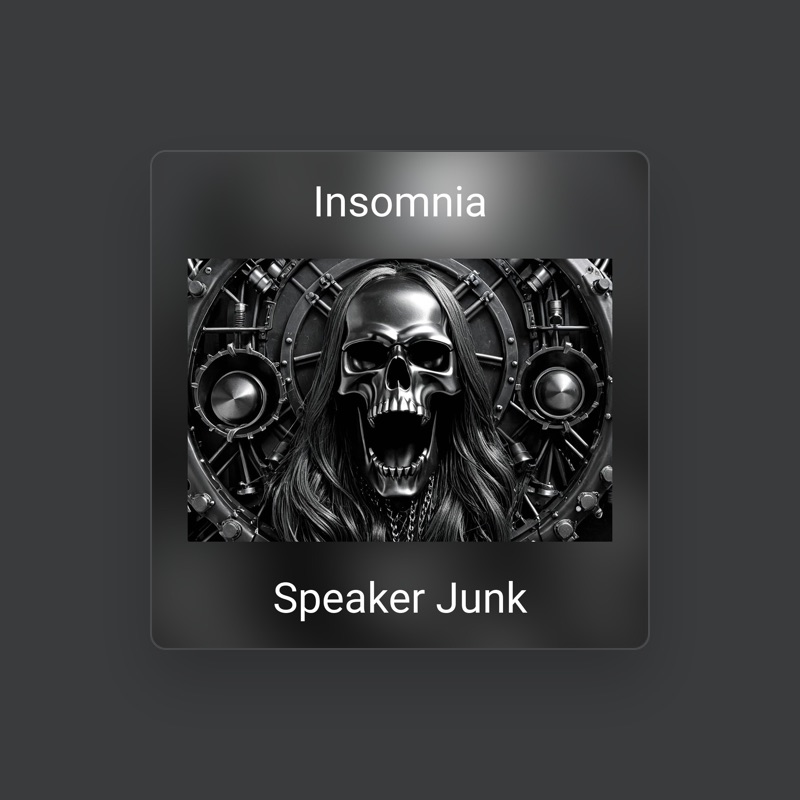 Speaker Junk