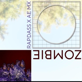 Zombie (feat. AE MX) RapDass