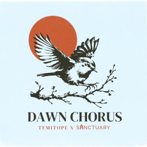 DAWN CHORUS