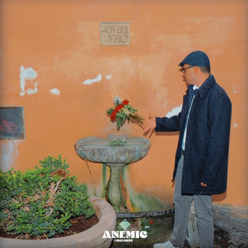 non era vero - Single