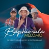 Baphumula melomo (feat. Drumtwist & Rudzani rams) - Single