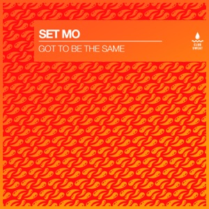 Got to Be the Same - Single