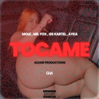 TOCAME (feat. Ayka) - Single - Mole, Gs Kartel, Aldair Productions & Mr. Fox