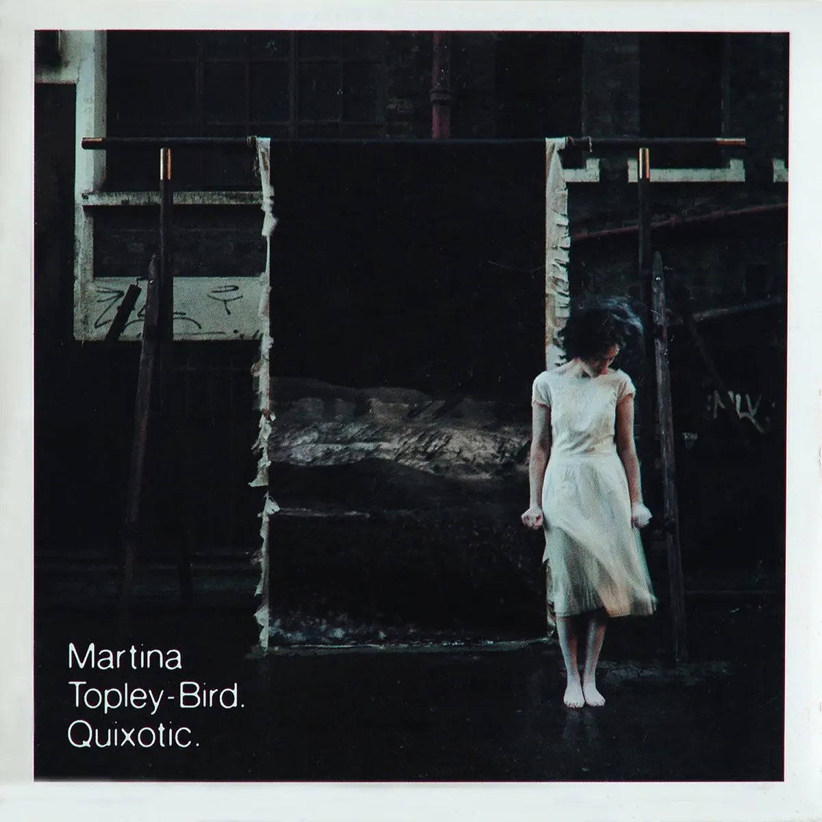 Martina Topley-Bird - Quixotic (Expanded Edition) (2024) [iTunes Plus AAC M4A]-新房子